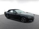 Thumbnail of 2024 Shadow Black Ford Mustang