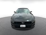 Thumbnail of 2024 Shadow Black Ford Mustang
