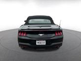 Thumbnail of 2024 Shadow Black Ford Mustang