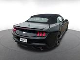 Thumbnail of 2024 Shadow Black Ford Mustang