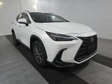 Thumbnail of 2024 White Lexus NX 350
