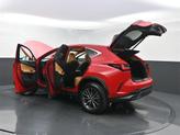 Thumbnail of 2024 Redline Lexus NX 250