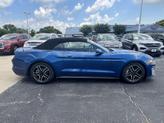 Thumbnail of 2022 Atlas Blue Ford Mustang