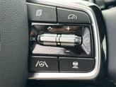 Thumbnail of 2025 Dawning Red Kia Sorento