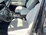Thumbnail of 2025 Ebony Black Kia Sorento