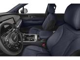 Thumbnail of 2026 Panthera Metal Kia Carnival