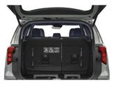 Thumbnail of 2026 Panthera Metal Kia Carnival