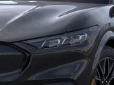 Thumbnail of 2025 Shadow Ford Mustang Mach-E