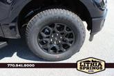 Thumbnail of 2025 Blue Ford F-150