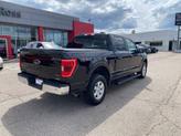 Thumbnail of 2023 Agate Black Metallic Ford F-150