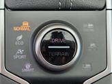 Thumbnail of 2026 Gwp Kia Sorento