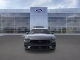 Thumbnail of 2025 Shadow Black Ford Mustang