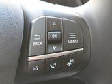 Thumbnail of 2024 Cactus Green / Gray Ford Bronco Sport
