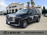 Photo of 2024 Black Raven Cadillac Escalade ESV