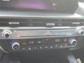Thumbnail of 2023 Everlasting Silver Kia Telluride