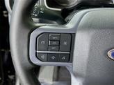 Thumbnail of 2023 Agate Black Metallic Ford F-150