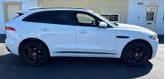 Thumbnail of 2018 Fuji White Jaguar F-PACE