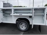 Thumbnail of 2025 Oxford White Ford F-350