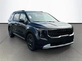 Photo of 2026 Panthera Metal Kia Carnival Hybrid