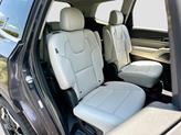 Thumbnail of 2025 Panthera Metal Kia Telluride