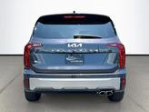 Thumbnail of 2025 Panthera Metal Kia Telluride