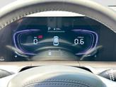 Thumbnail of 2025 Panthera Metal Kia Telluride