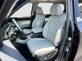 Thumbnail of 2025 Panthera Metal Kia Telluride