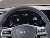 Thumbnail of 2025 Panthera Metal Kia Telluride