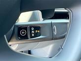 Thumbnail of 2026 Panthera Metal Kia EV9