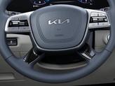Thumbnail of 2025 Everlasting Silver Kia Telluride