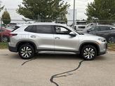 Thumbnail of 2025 Pyrite Silver Metallic Volkswagen Tiguan