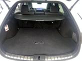 Thumbnail of 2024 White Lexus RX 350