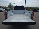 Thumbnail of 2025 STAR WHITE Ford F-250