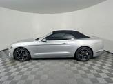 Thumbnail of 2019 INGOT SILVER METALLIC Ford Mustang