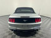 Thumbnail of 2019 INGOT SILVER METALLIC Ford Mustang