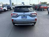 Thumbnail of 2022 Ice Blue Ford Escape