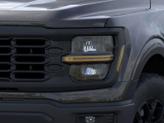 Thumbnail of 2025 Agate Black Metallic Ford F-150