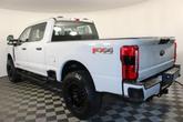 Thumbnail of 2025 Avalanche Ford F-250