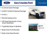 Thumbnail of 2025 Avalanche Ford F-250