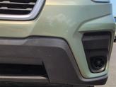 Thumbnail of 2020 Jasper Green Metallic Subaru Forester