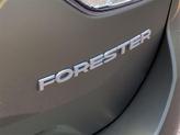 Thumbnail of 2020 Jasper Green Metallic Subaru Forester