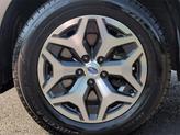 Thumbnail of 2019 Dark Gray Metallic Subaru Forester