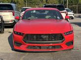 Thumbnail of 2024 Red Ford Mustang
