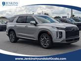 Photo of 2025 Typhoon Silver Hyundai PALISADE