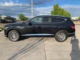 Thumbnail of 2024 Vik Black Genesis GV80