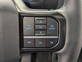 Thumbnail of 2025 RAPID RED MET TINTED CC Ford F-150