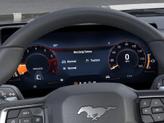 Thumbnail of 2025 Shadow Black Ford Mustang