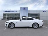 Thumbnail of 2025 Oxford White Ford Mustang