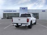 Thumbnail of 2025 Oxford White Ford F-150
