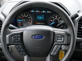 Thumbnail of 2016 White Ford F-150